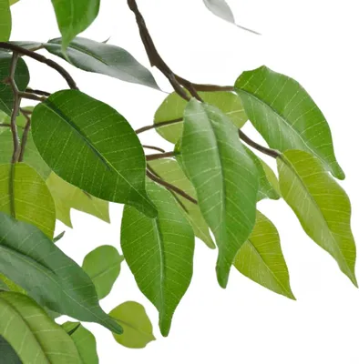 Produktbild von vidaXL Künstlicher Zwerg-Ficus mit Topf 60 cm