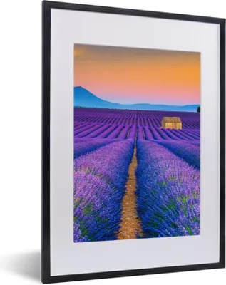 Produktbild von MuchoWow® Gerahmtes Poster Lavendel - Lila - Blumen 30x40 cm - Poster mit Schwarzem Bilderrahmen Wandposter Rahmen Foto Bilder - Wandposter Schlafzimmer