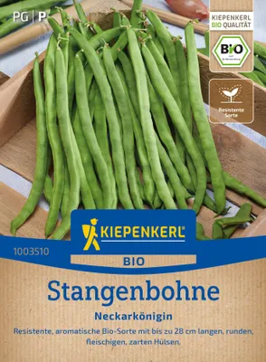 Artikelbild 2 von 'BIO Stangenbohne Neckarkönigin' aus der Kategorie Stangenbohnensamen