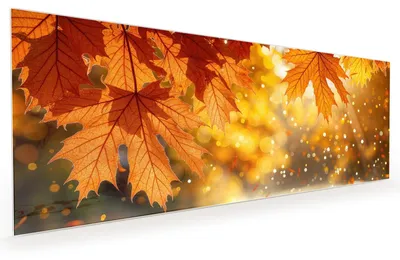 Produktbild von Küchenrückwand Spritzschutz Glas mit Motiv Herbstblätter 40 x 40 cm