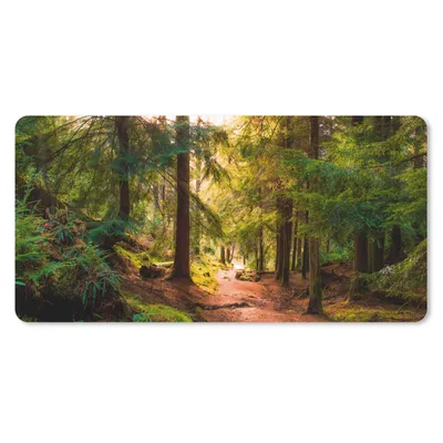 Produktbild von MuchoWow® Schreibtischunterlage Wald - Weg - Bäume - Grün - Sonne - Natur 80x40 cm - XXL Mauspad - Gaming Mauspad