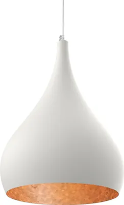 Produktbild von Calice Pendelleuchte Blatt D25