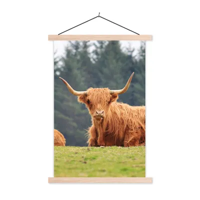 Produktbild von MuchoWow® Textilposter Schottische Highlander - Gras - Wald 60x90 cm mit holzfarbenen Rahmen - Textil