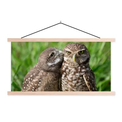 Produktbild von MuchoWow® Textilposter Eulen - Vögel - Gras 60x30 cm mit holzfarbenen Rahmen - Dekoration