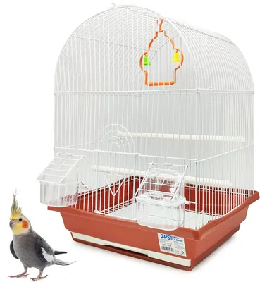 Vogelkäfig 34,5x28x49,5 cm mit Zubehör für Wellensittiche