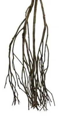 Productafbeelding van CeramicNature Talawa wood fijn vertakt aquarium- en terrariumhout 60 cm