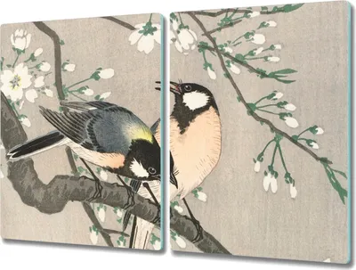 Produktbild von Coloray Hackbrett Küchenbrett Kochplattenabdeckung Schneidebrett Herdabdeckplatte 2x40x52 cm - Natur Tiere Vögel