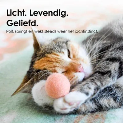 Obrázek produktu pro Rainbow Felts Playballs pro kočky I 6 kousků Barevné