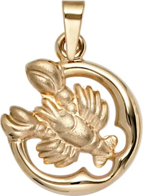 Produktbild von Anhänger Sternzeichen Krebs 375 Gold Gelbgold teilmattiert Horoskop