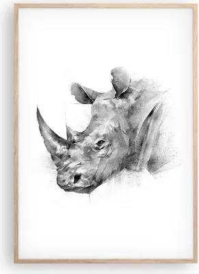 Produktbild von Gerahmtes Poster - Rahmen in heller Eiche - Nashorn Porträt Grafik - 70x100 cm - Wand Bild - Wanddeko - Wandbilder - Kunstposter - Wandposter - Bilderrahmen - Bilder - Kunstdruck - P2NPA70x100-4378