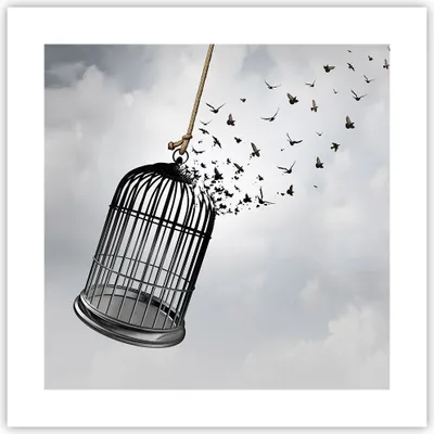 Produktbild von Poster - Poster ohne Rahmen - Freiheit Käfig Vögel - 40x40 cm - Wand Bild - Wanddeko - Wandbilder - Kunstposter - Wandposter - Bilder - Kunstdruck - Wanddekoration - Wandbild - P2XAC40x40-4997