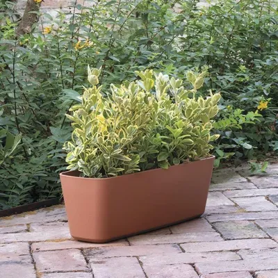 Produktbild von DEROMA Origin Pflanzkübel – 49,1 x 17,8 cm – 11,6 l – Terrakotta