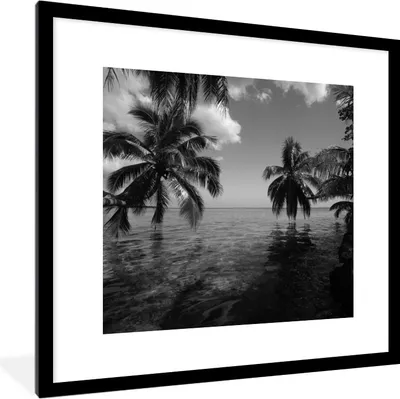 Produktbild von MuchoWow® MuchoWow® Gerahmtes Poster Reflexion von Palmen im Meer von Mo'orea in schwarz und weiß 40x40 cm - Poster mit zchwarzem Bilderrahmen - Poster - Plakat im Rahmen