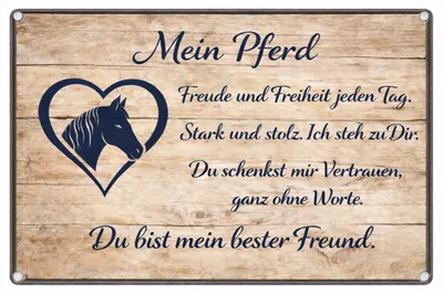 Produktbild von Blechschild 20x30cm Mein Pferd Du bist mein bester Freund Schild Metallschild Pferde Deko Wanddeko Geschenk für Reiter AstraDesign