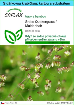 Obrázek produktu pro SAFLAX Dárková sada - Srdce Quakergrass / Maidenhair - Briza media - 75 Semena - S dárkovou krabičkou, přepravním štítkem, dárkovou kartou a pěstebním médiem