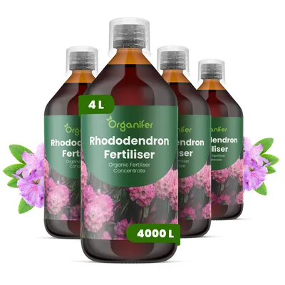 Produktbild von Rhododendren Flüssigdünger 4x1L – 2-1-8 NPK – Flüssig-Pflanzendünger für Rhododendren – Für Gartenbeete, Hecken & Zierpflanzungen – Organifer