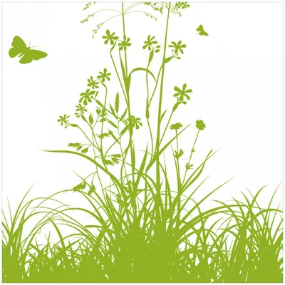 Produktbild von Wallario Premium Glasbild, freischwebende Optik, kräftige Farben, Größe 30 x 30 cm Motiv Grüne Sommerwiese