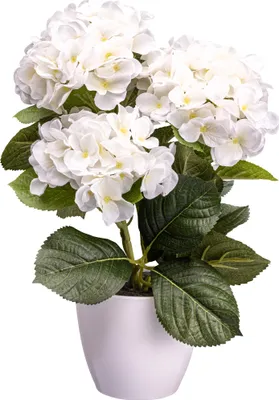 Produktbild von ohne Marke Kunstpflanze Hortensie weiß OneSize