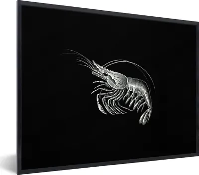 Produktbild von MuchoWow® Gerahmtes Poster Shrimps - Vintage - Ernst Haeckel - Tiere - Kunst 80x60 cm - Poster mit Schwarzem Bilderrahmen Wandposter Rahmen Foto Bilder - Schwarzem - Mit Gestell