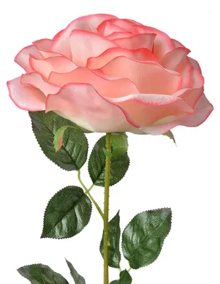 Image de Clayre & Eef Fleur artificielle Rose 75 cm Rose Plastique