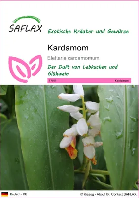 Produktbild von SAFLAX - Kardamom - Elettaria cardamomum - 20 Samen