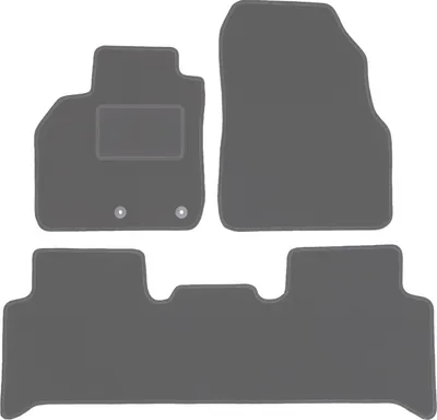 Produktbild von Graphit-Fußmatten für: Renault Scenic II Minivan (2003-2009)