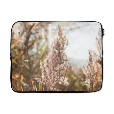 Produktbild von MuchoWow® Laptop Hülle 15 Zoll Schilf - Sonne - Pflanze Laptoptasche - Laptoptasche - Sleeve - Rundum-Schutz