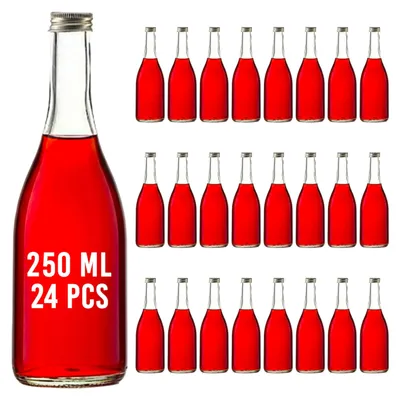 24 leere Glasflaschen 250 ml mit Schraubverschluss, klar