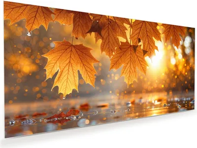 Produktbild von Glasbild 80x40cm in XXL für Wohnzimmer, Schlafzimmer Motiv Herbstliche Blätter