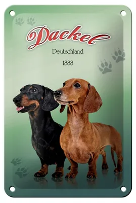 Produktbild von Blechschild Hund 12x18cm Dackel Deutschland 1888 Dekoration