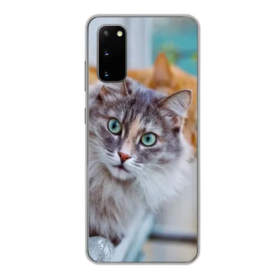 Produktbild von MuchoWow® Handyhülle Schutzhülle Hülle für Samsung Galaxy S20 Katze - Fenster - Katzen Silikon Softcase Handy Hülle - Bild