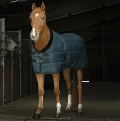 Obrázek produktu pro Equithème, deka do stáje, velikost 6'9" - Teddy, deka do stáje, 200 g