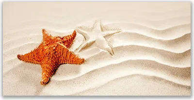 Produktbild von Tulup Leinwand-Bilder 120x60 Wandbild Canvas Kunstdruck Seesterne Sand Kunst