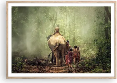 Produktbild von Gerahmtes Poster - Rahmen in heller Eiche - Elefant Dschungel Nebel - 100x70 cm - Wand Bild - Wanddeko - Wandbilder - Wandposter - Bilderrahmen - Bilder - Kunstdruck - Wandbild - P2NAA100x70-3438