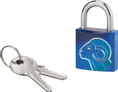Image de Cadenas à clé Belier, acier, intérieur, anse acier, 30mm, 3 clés - THIRARD