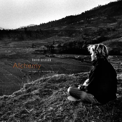 Zdjęcie produktu dla David Sylvian - Alchemy An Index Of Possibilities (180 g) (LP)