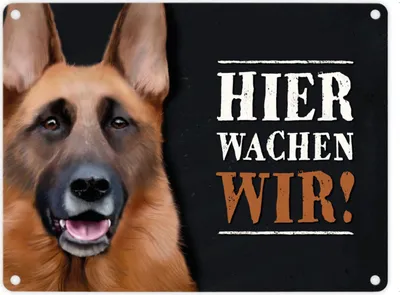 Produktbild von Metallschild mit Schäferhund Motiv und Spruch: Hier wachen wir! Metallschild
