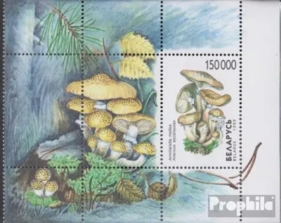 Produktbild von Briefmarken Weißrussland 1999 Mi Block17 (kompl.Ausg.) postfrisch Pilze
