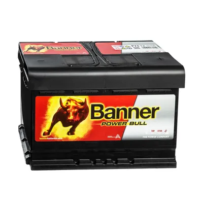 Image de Banner Power Bull P7412 batterie de voiture 12V 74Ah