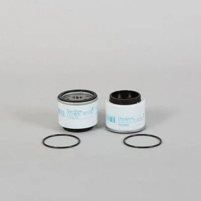 Image de Filtre à carburant DONALDSON P502489