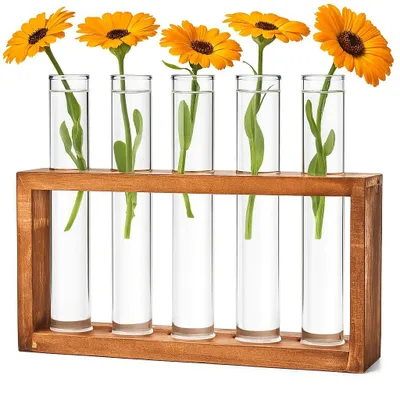 Produktbild von Reagenzgläser Blumenvase - Kleine Reagenzglas Vasen mit Ständer Holz - Glasrohre mit Flachboden - Modern Vasen Deko Set für Hydrokultur Pflanzen