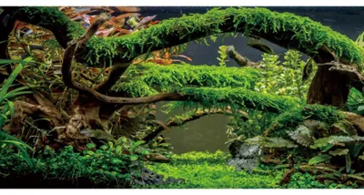 Zdjęcie produktu dla Tło akwariowe z winylu do terrarium