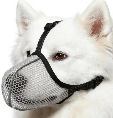 Productafbeelding van Honden muilkorf - Anti-blaf - Gedragstraining - Ademend mesh - Maat M - Grijs