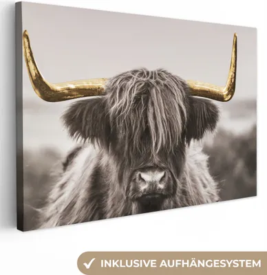 Zdjęcie produktu dla MuchoWow® - Obraz na płótnie - Szkocki góral - złoty - czarny - biały, fototapeta, dekoracja ścienna, obrazy do salonu, 90x60cm