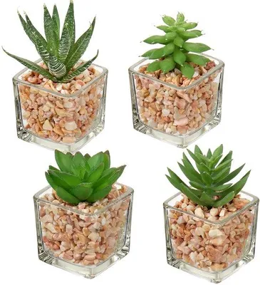 Image de Plantes d'intérieur artificielles, lot de 4, pots en verre, décoration de table