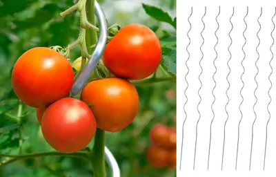 Produktbild von 25 Tomaten Spiralstab 1,8m Tomatenstab Rankhilfe Pflanzstab Rankstab Tomate Stab