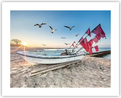 Produktbild von Poster - Poster ohne Rahmen - £ódŸ Küste Möwen - 50x40 cm - Wand Bild - Wanddeko - Wandbilder - Kunstposter - Wandposter - Bilder - Kunstdruck - Wanddekoration - Wandbild - P2XAA50x40-4779