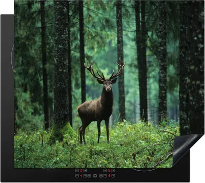 Produktbild von KitchenYeah© Herdabdeckplatte Hirsche - Wald - Bäume - Tiere - Natur , 58x51cm, Küche Deko, Glaskeramikkochfeld Herdabdeckung, Abdeckplatte fùr Kochfeld