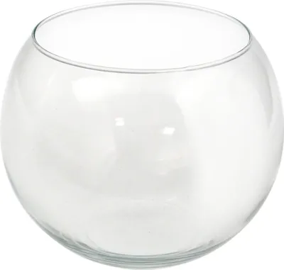 Produktbild von Glas-Fischglasvase cm35,5 5012