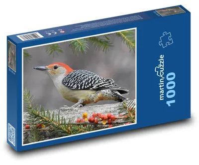 Zdjęcie produktu dla martinpuzzle - Puzzle 1000 elementów - Datel - pták